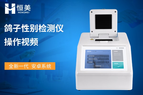 鴿子性別檢測(cè)儀操作視頻