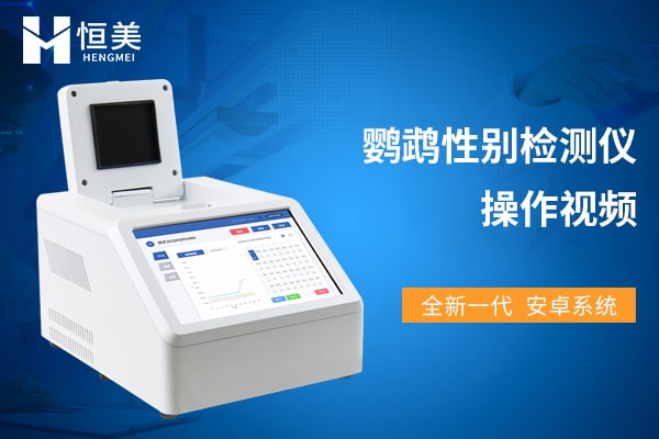 鸚鵡性別檢測(cè)儀操作視頻